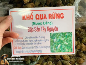 1 Ký Khổ Qua Rừng Tây Nguyên